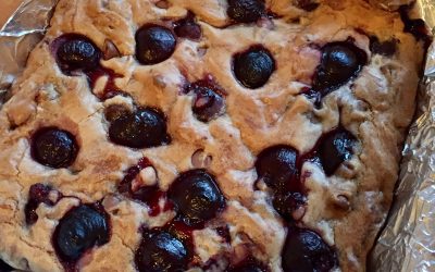 Chocolate Chip and Cherry Blondies