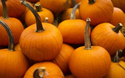 Pumpkin Spice Cake with Honey Ginger Glaze