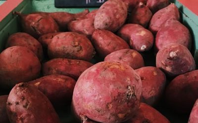 Pumpkin Spice Balsamic Roasted Sweet Potatoes