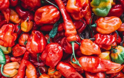 Hill Country Green Chile Stew