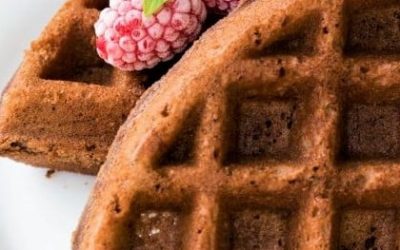 Chocolate Navel Orange Waffles